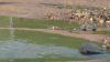 New Hampshire beaches tested after Mass. beaches closed following sewage leak