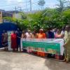 Crisis in maize sector: Organisation unveils robust action plan to str...