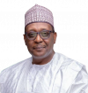 Nigeria’s health partnership with the US: National sovereignty and domestic financing, By Muhammad Ali Pate