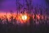 Sahran Dust Could Paint Indiana Skies This Week