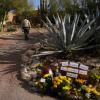 Did a ransom message really place Nancy Guthrie in Mexico
