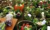 Health Promotes Food & Nutrition Awareness on World Food Safety Day