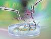 Gene-editing startups are using CRISPR to treat diseases