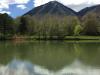 Utah wildlife officials use $3.4 million from hunting, fishing license sales for habitat restoration