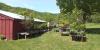 Made in Vermont: Vt. nursery grows unusual perennials and crafts terracotta planters on site