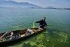 World AP Warming climate, pollution and unplanned growth push Kashmir’s lakes toward disappearance