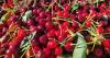 This summer’s most delicious Portland food challenge involves cherries and ice cream