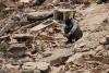 Venezuelans search more quake ruins as attention turns to humanitarian crisis