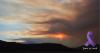 Arizona firefighter killed while battling Colorado wildfire