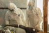 Ebola outbreak in Congo spreads to 4th province