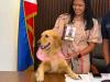 How golden retriever ‘Turfie’ became CCenro’s honorary green advocate