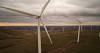Start of construction of wind power plant to cover energy deficit in south given in Zhambyl region