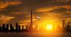 UAE free zones signal confidence