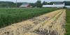 Hochul launches $30M agricultural relief program targeting tariff-driven impacts