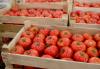 Armenia to approve new producer support program – Papoyan