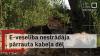 Damaged cable leaves patients without meds in Latvia