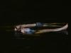 Heatwave scorches east Europe as Slovakia, Czechia see record temperatures
