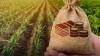 Agribusiness confidence rebounds despite drought fears
