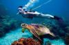 British Virgin Islands Aquatic Experience Receives Prestigious 2026 International Telly Award