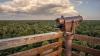 Skip the theme parks: This Florida beach town is better for families
