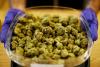 Massachusetts could become the first state to repeal legalized weed. Here’s what that would look like.