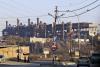 Jordan studies expansion of power link with Egypt: Report