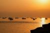 No transit fees in Strait of Hormuz, says Oman