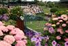 Tennis-Wimbledon day two