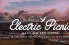 Stradbally’s Electric Picnic ranks high among Ireland's festivals in new research