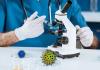 Bacteria-grown pigments target textile dyes
