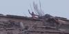 100 Venezuelan Deportees Missing After Hotel Collapse Turns Repatriation Into Tragedy