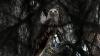 Feliks the eagle back home in Serbia after kidnap and illegal sale ordeal in Middle East