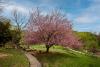 Maryland State Parks Announces More Reservation Requirements, Added QR Payment System