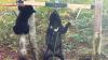 Japan starts using unified survey method to track bear population