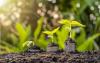 Agricultural Finance Corporation banks on wholesale model to bridge $100bn finance gap