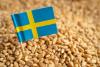 Sweden’s grain output expected to decline