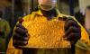 Marsad Al Dahab: World Gold Mine Production Tops 15.9 Thousand Tonnes Since 2022 as China Leads Output and Egypt Exceeds 62 Tonnes in Verified Production