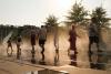 WHO Europe: Heatwave a rehearsal, summers ahead will be harder