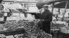 Historic Providence comes alive in rare Federal Hill market photos