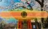 Japanese Yen Falls to 40-Year Low Against Dollar as Traders Weigh Bitcoin’s Next Move