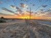 Australia’s Farmland at Risk of ‘Ecological Collapse’