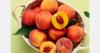 South African stone fruit exports rise 15% despite difficult season