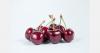 Later harvest creates export window for Moldovan cherries