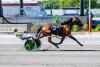 DSBF: C Millertimeagain triumphs at Harrington