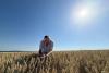 Chicago soybeans, grains rise ahead of USDA stocks report