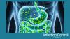 4 The Human Microbiome and Infection Prevention: How Gut Health, Dysbiosis, and Hospital Environments Influence HAIs and Antimicrobial Resistance
