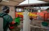 Congo bans mass gatherings over Ebola fears... except for the England game