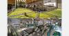 "Rising harvest volumes for Xenia pears in Styria"