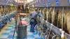 Farm Bureau says Securing Agriculture Workforce Act is critical in addressing labor shortages