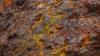 Neo Energy Metals advances uranium, gold project rollouts amid corporate restructuring